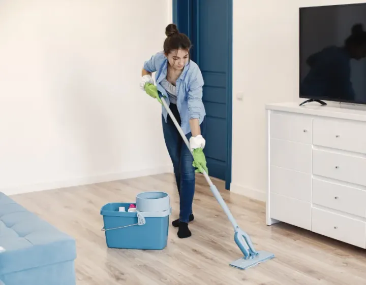Femme de ménage Floing